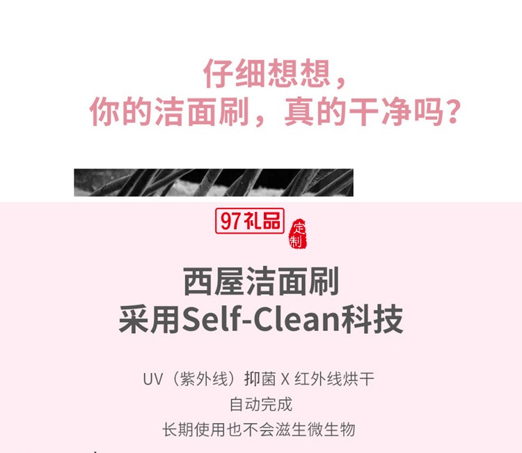 美國西屋潔面刷B5P電動(dòng)聲波潔面刷毛孔清潔器潔面器