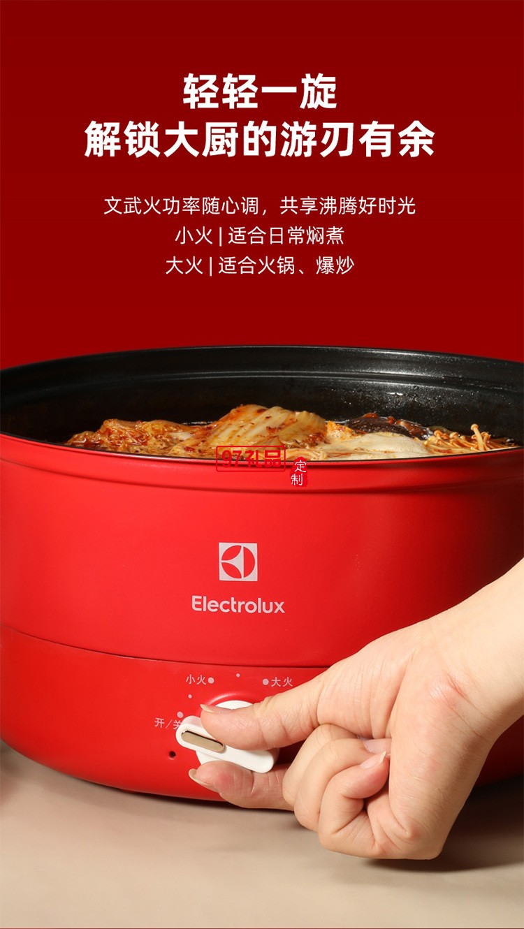 旋鈕式火力調(diào)節(jié) 自動控溫一鍋多用電火鍋